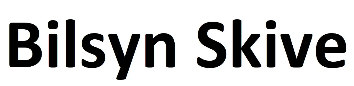 Logo for Bilsyn Skive